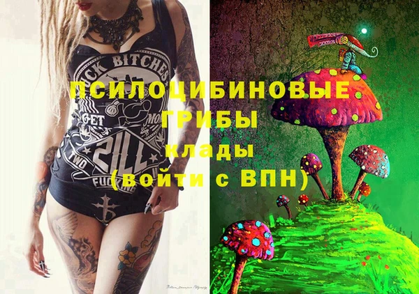 мяу мяу кристалл Гусь-Хрустальный
