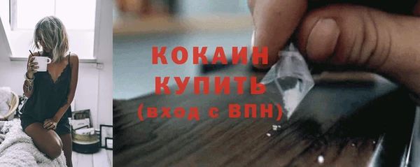 гашик Гусев