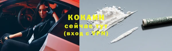 гашик Гусев
