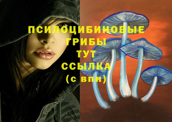 сатива Горнозаводск