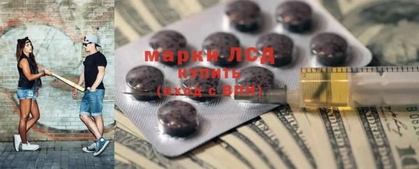 сатива Горнозаводск