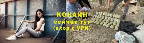 мяу мяу кристалл Гусь-Хрустальный