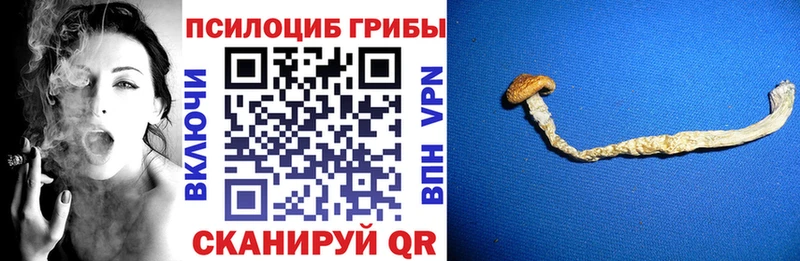 OMG   Москва  darknet какой сайт  Псилоцибиновые грибы Magic Shrooms 