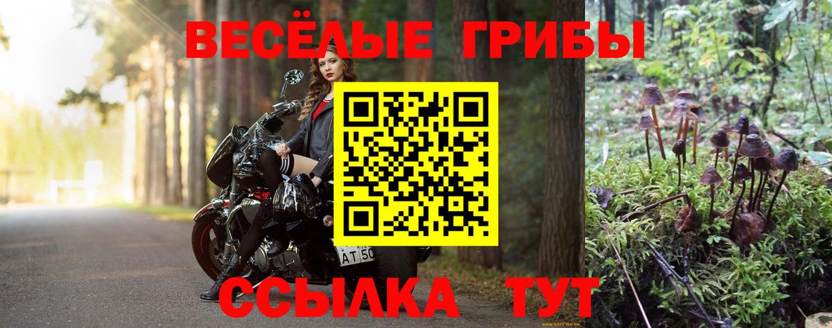 Псилоцибиновые грибы MAGIC MUSHROOMS Москва