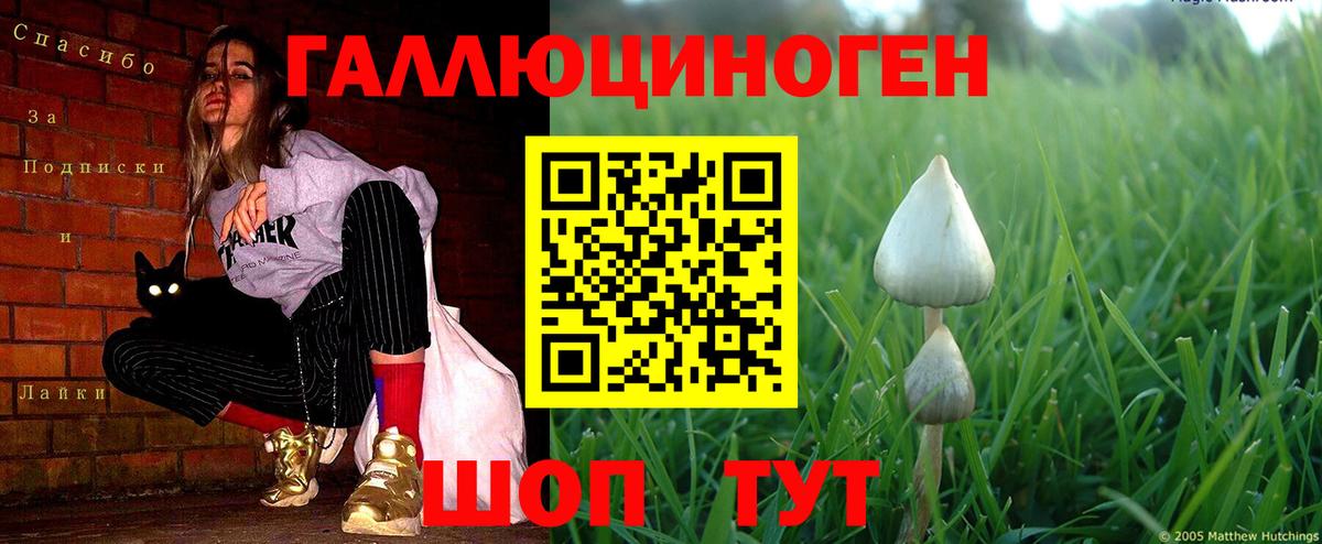 Псилоцибиновые грибы прущие грибы  Вход с VPN  Москва 